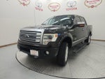 2014 Ford F-150 Platinum